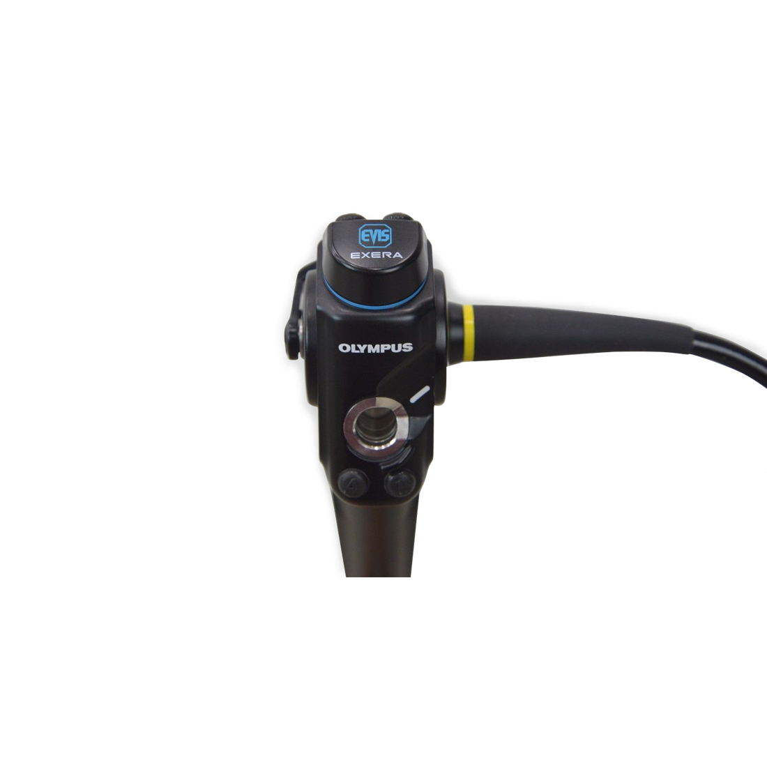 Olympus BF-P160 Video Bronchoscope